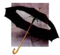 Fashion Windbrella