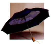Travel Windbrella